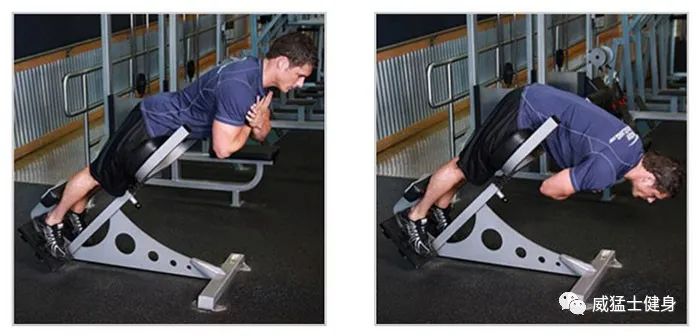 髋关节训练椅_髋关节训练器的适应症_髋关节训练椅说明书