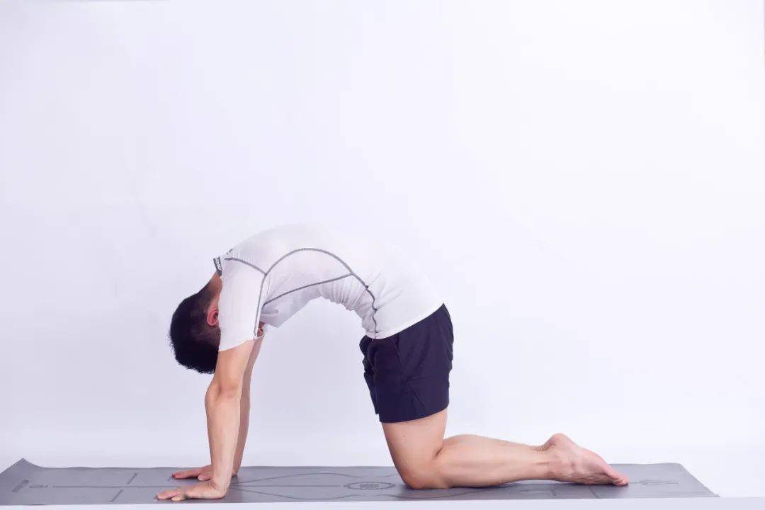 瑜伽颈椎健身图片_锻炼颈椎瑜伽视频教程_颈椎健身瑜伽