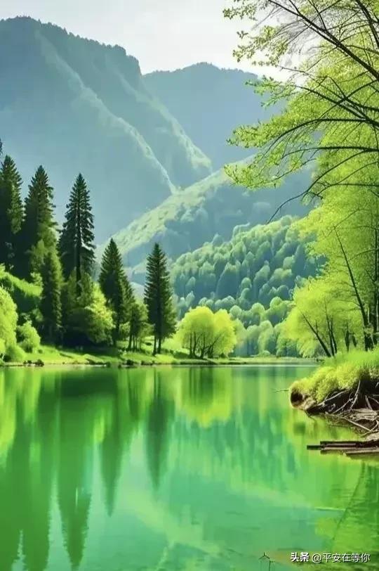 老年体检重要性_养老金理财防骗_中老年广场舞衣服