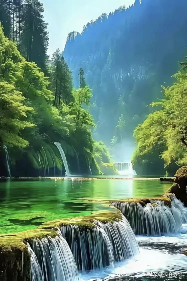 中老年广场舞衣服_养老金理财防骗_老年体检重要性