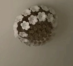 佳木斯桦南地震_佳木斯 地震_佳木斯地质灾害