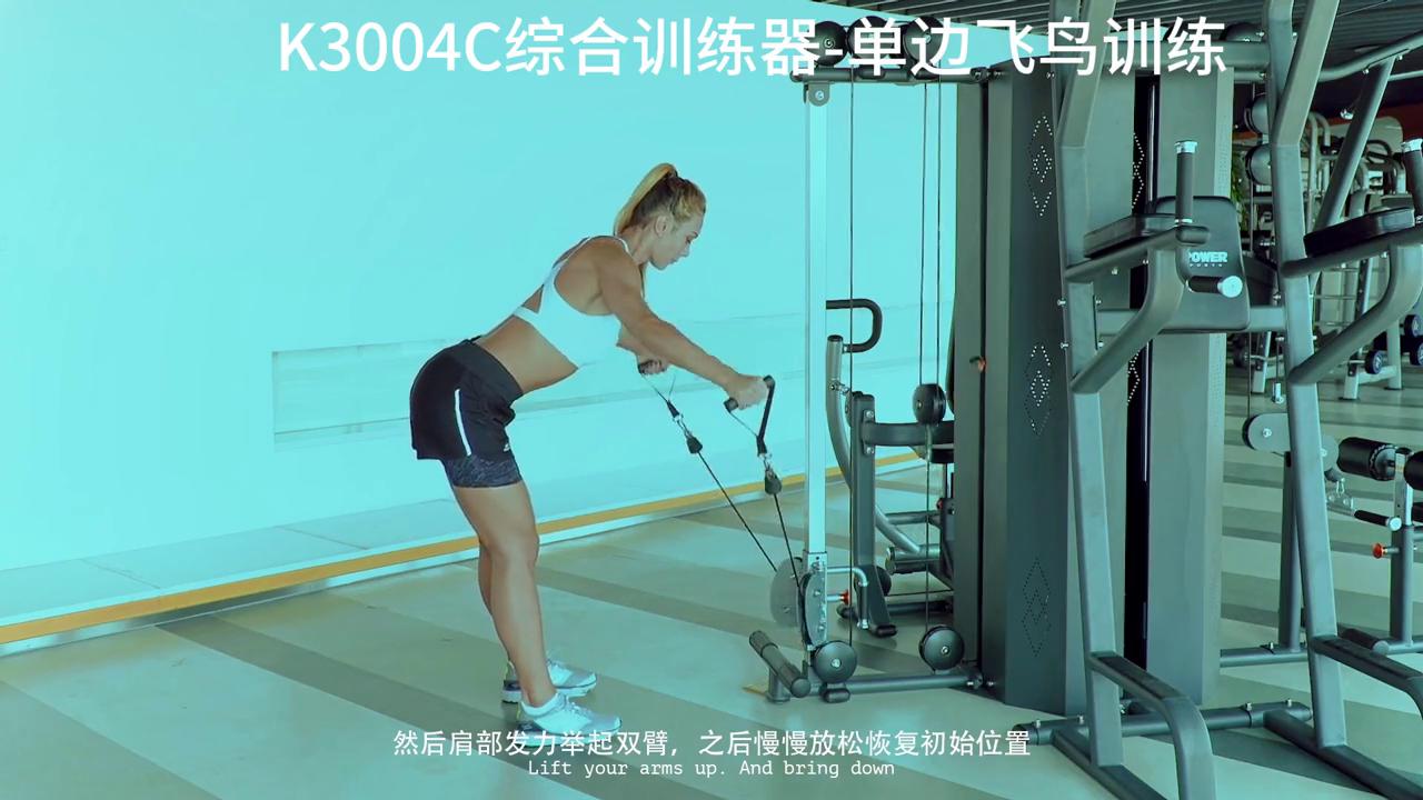 K3004C综合训练器_大飞鸟综合训练器_单边飞鸟训练