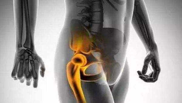 髋关节坐姿_髋关节训练器的适应症_髋关节训练椅