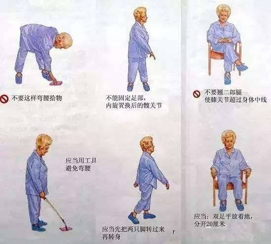 髋关节训练椅_髋关节训练器的适应症_髋关节坐姿