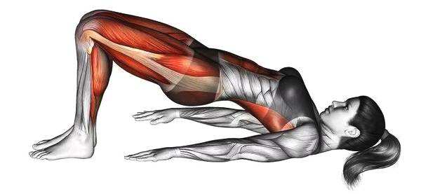 髋关节训练器的适应症_髋关节坐姿_髋关节训练椅