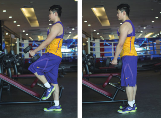 髋关节训练椅的用途_髋关节训练椅_髋关节训练器的适应症