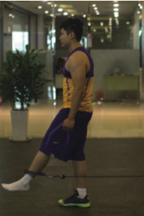 髋关节训练椅的用途_髋关节训练器的适应症_髋关节训练椅