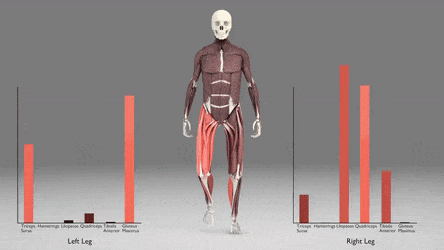 股四头肌训练椅安装步骤_股四头肌训练椅使用方法_股四头肌训练椅
