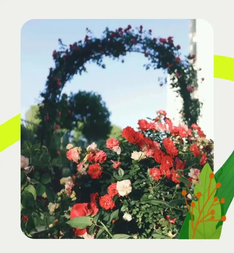 闵行区青年公寓租金_上海青年人才公寓_上海晨韵公寓住宿条件