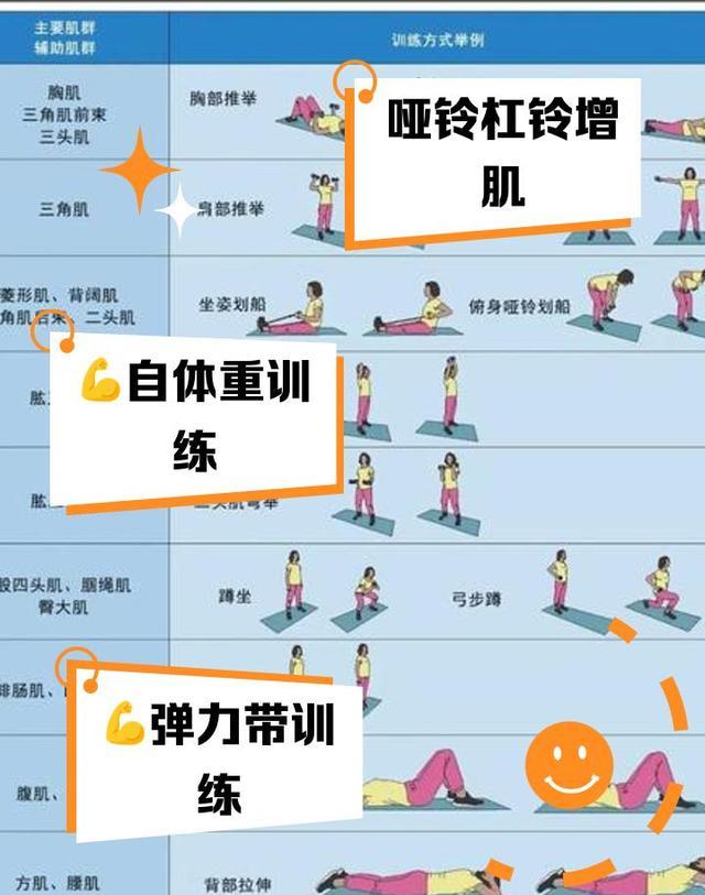 肌肉流失代谢综合征研究_深蹲椅子靠墙静蹲训练_股四头肌训练椅