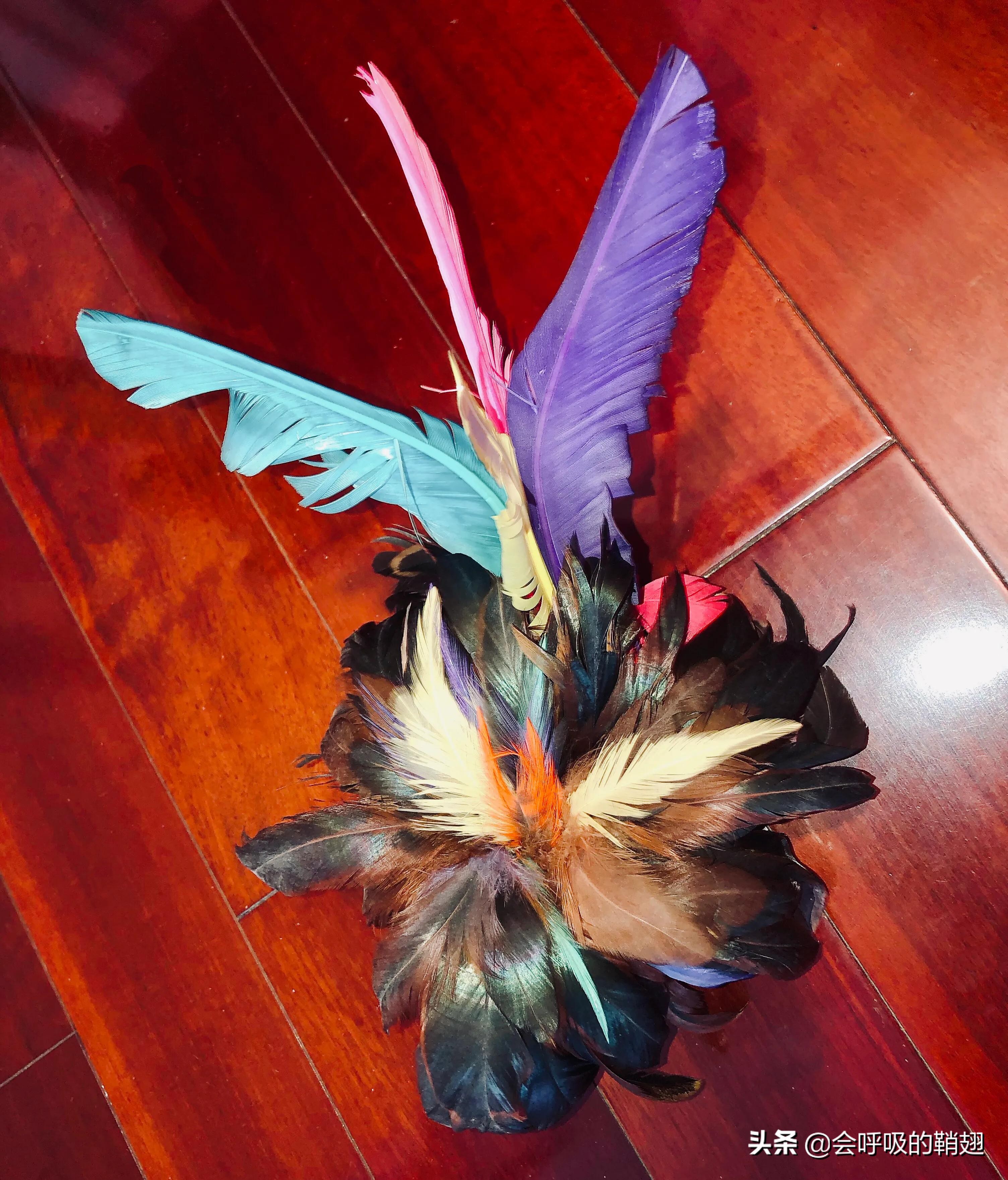 家庭运动产品分享_运动产品使用心得_网上买跑步机什么牌子好