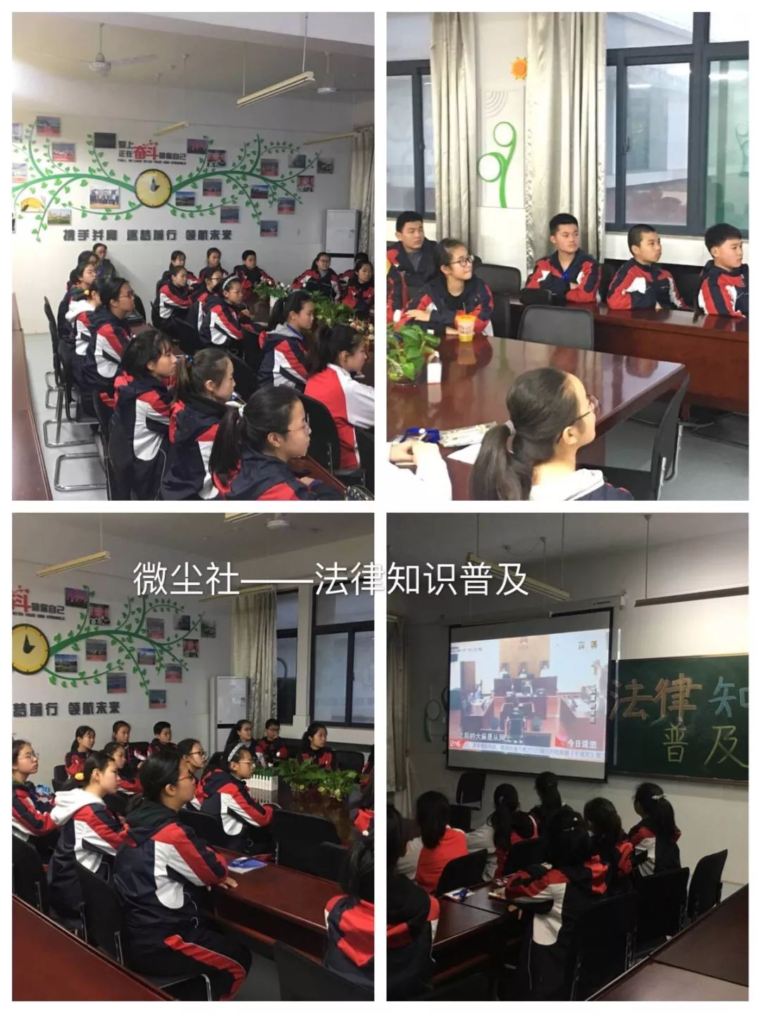 蔡燕燕_蔡燕燕个人简历_蔡燕燕上海