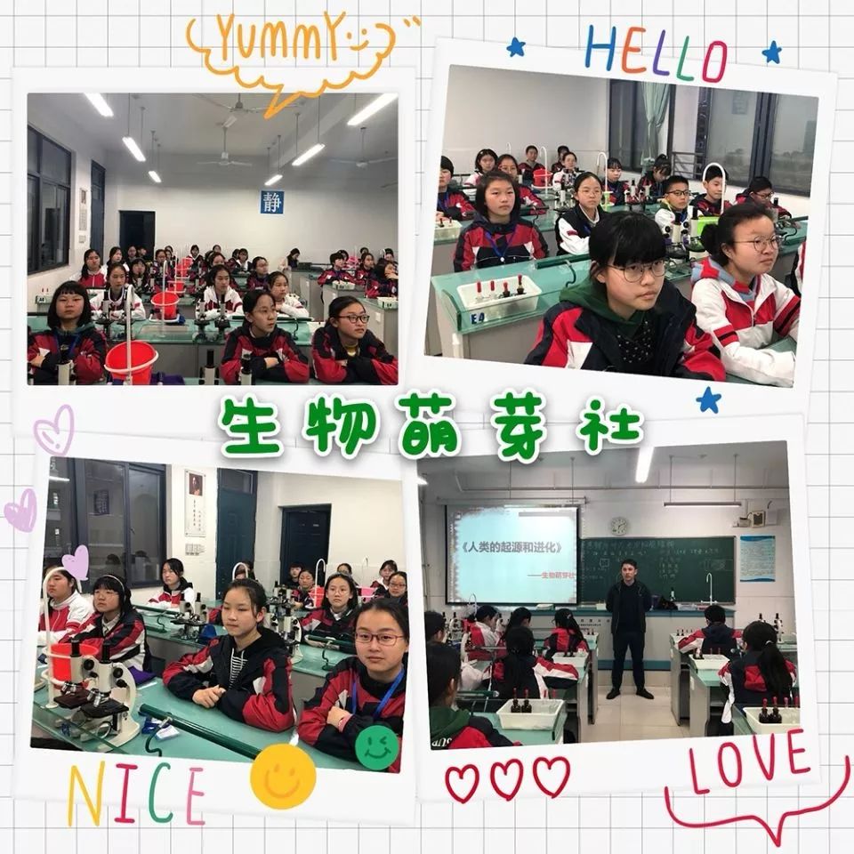 蔡燕燕_蔡燕燕个人简历_蔡燕燕上海