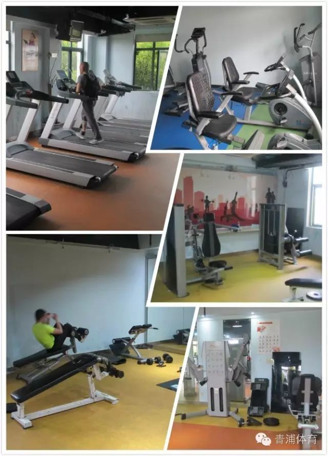 飞鸟训练器肌肉示意图_大飞鸟综合训练器_飞鸟训练器练胸肌