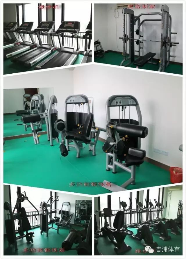 飞鸟训练器练胸肌_飞鸟训练器肌肉示意图_大飞鸟综合训练器