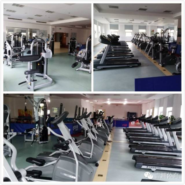 大飞鸟综合训练器_飞鸟训练器肌肉示意图_飞鸟训练器练胸肌