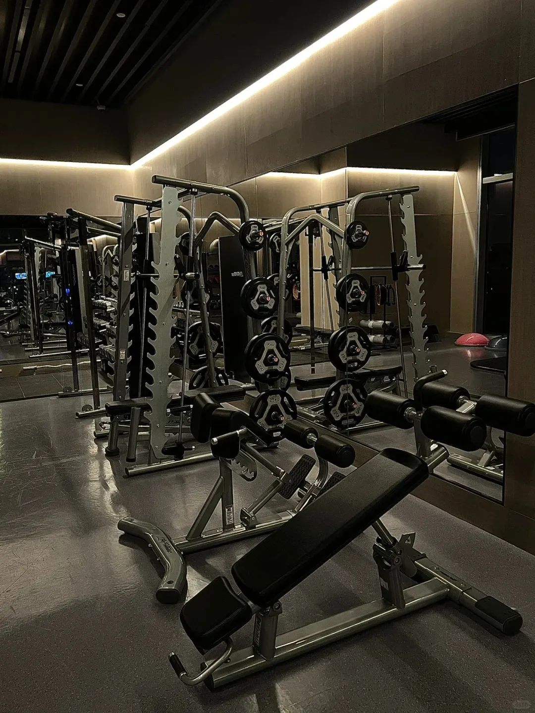 飞鸟训练器练胸肌_飞鸟训练器使用图解_大飞鸟综合训练器