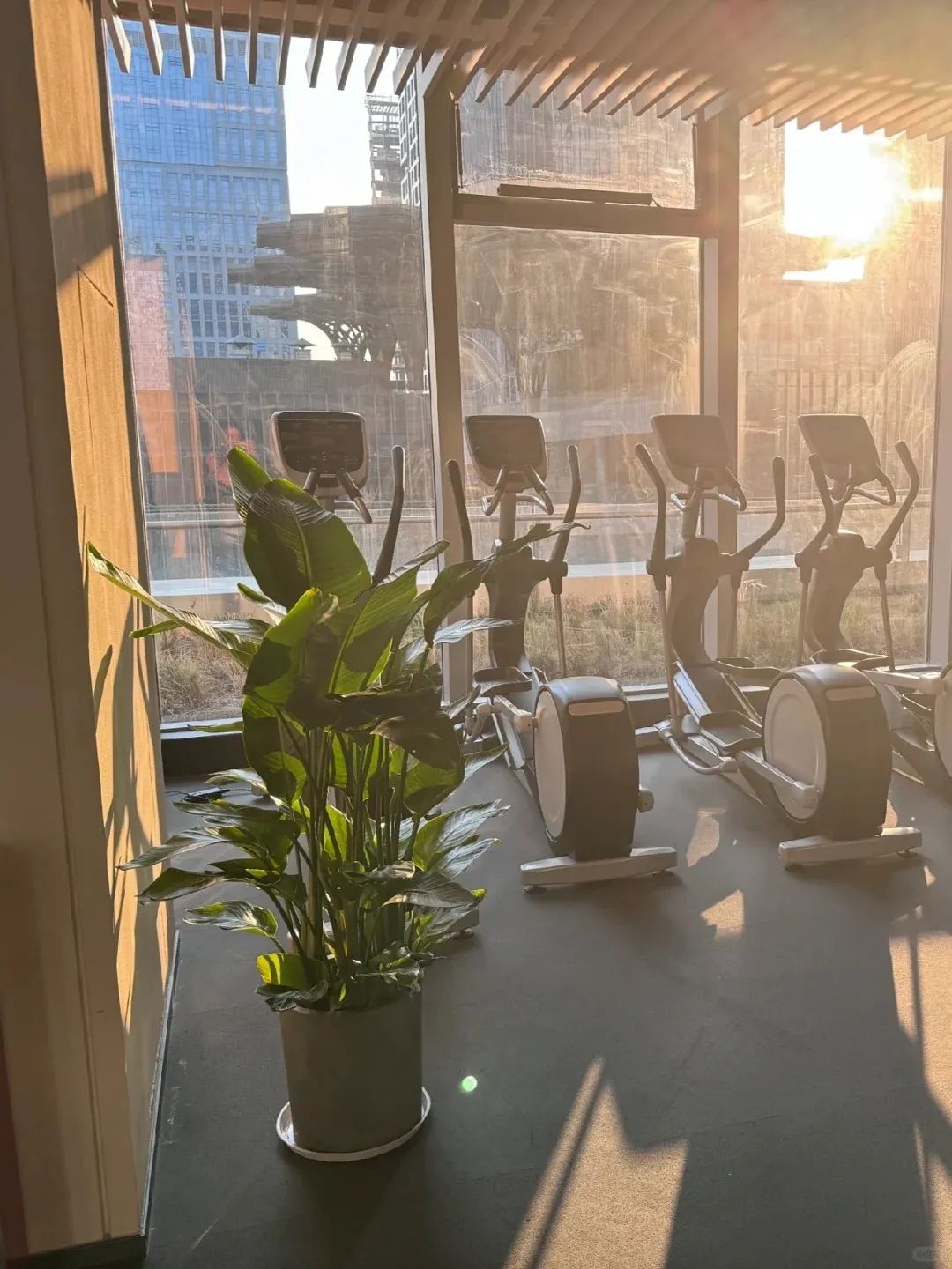 飞鸟训练器练胸肌_飞鸟训练器使用图解_大飞鸟综合训练器