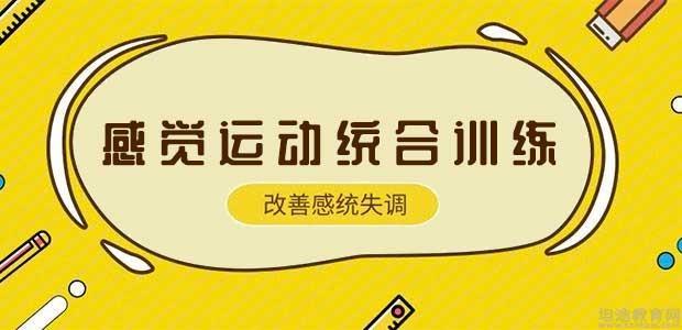 开yun体育app官方下载入口 金色雨林感觉运动统合训练师