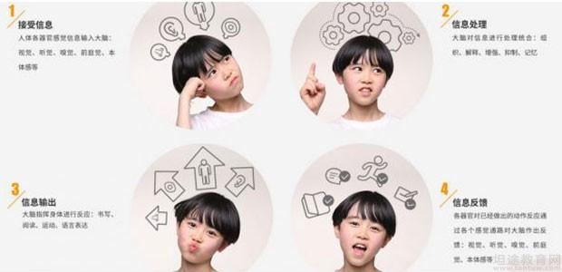 感统训练单腿椅_厦门金色雨林感统训练_感统训练 提升感官协调性