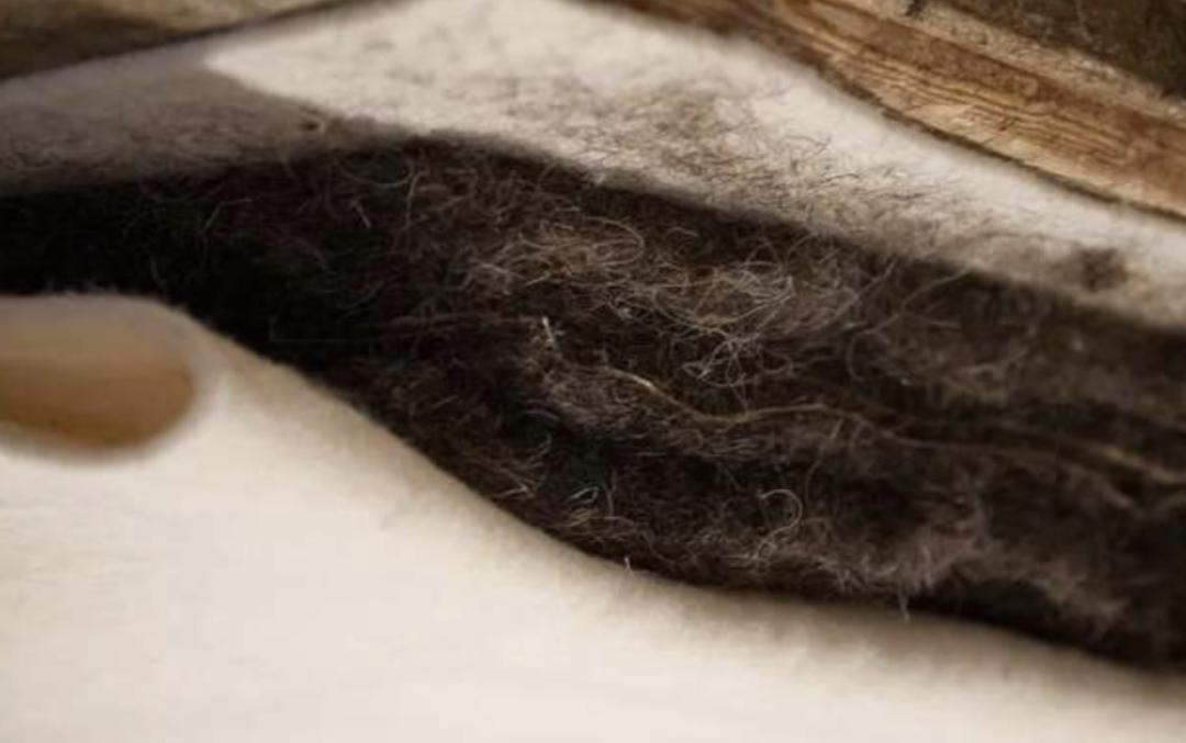 热辣滚烫拳击手套_拳击手套材质选择_健身手套推荐 知乎