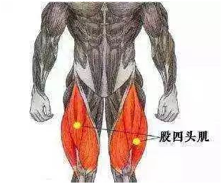 开yun体育app入口登录 简单实用的股四头肌锻炼法，保护膝关节！
