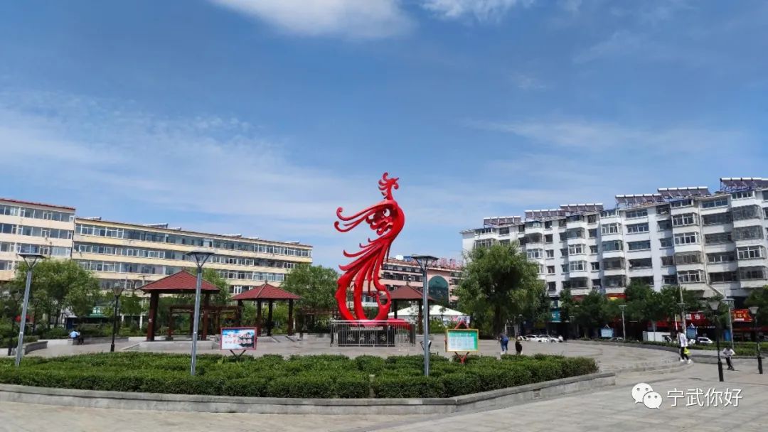 开yun体育app入口登录 宁武：且看凤凰飞，不改凌云志