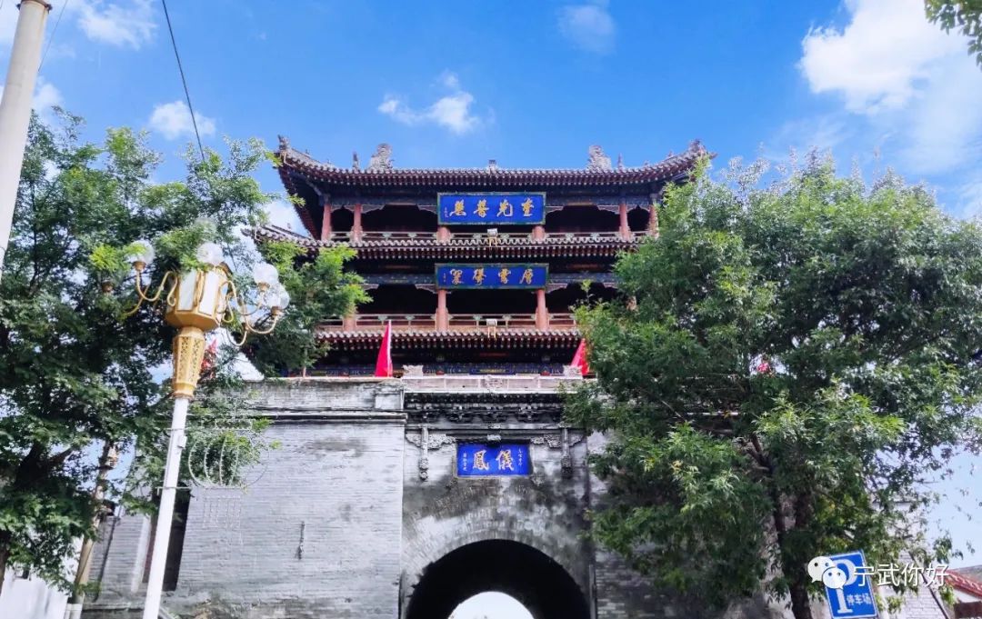 广场舞凤凰飞舞_广场舞凤凰飞分解动作_广场舞凤凰飞教学