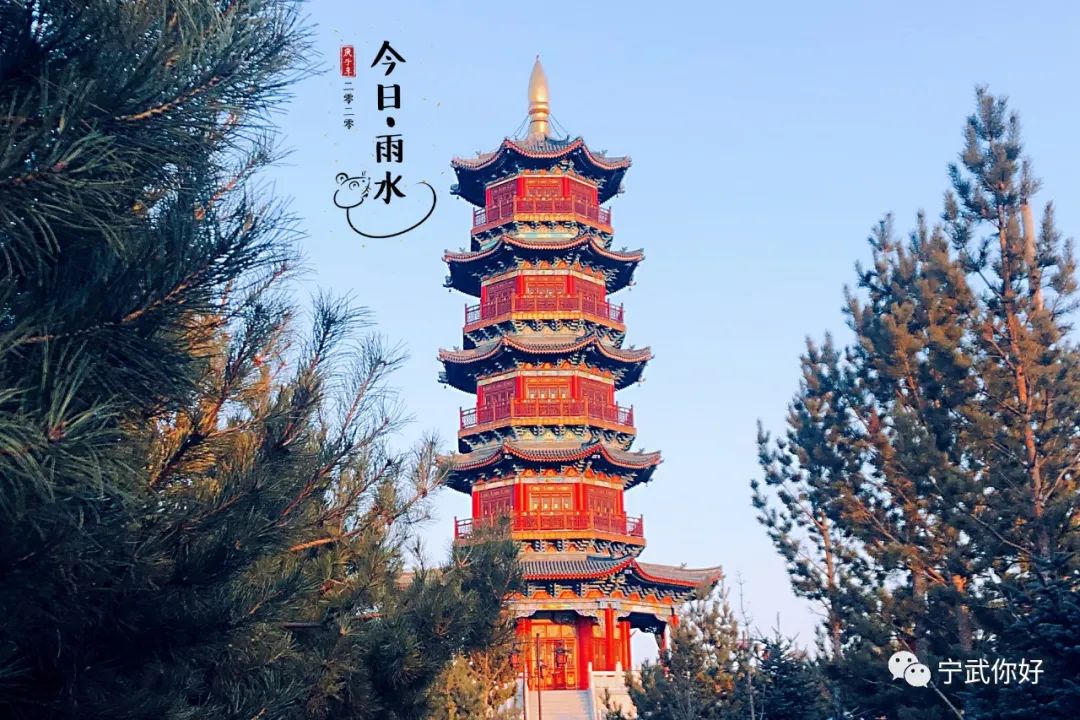 广场舞凤凰飞分解动作_广场舞凤凰飞教学_广场舞凤凰飞舞