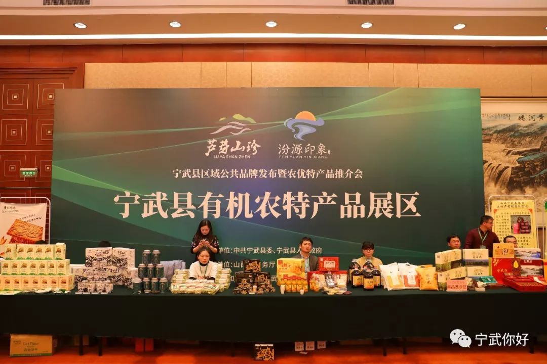 广场舞凤凰飞分解动作_广场舞凤凰飞舞_广场舞凤凰飞教学