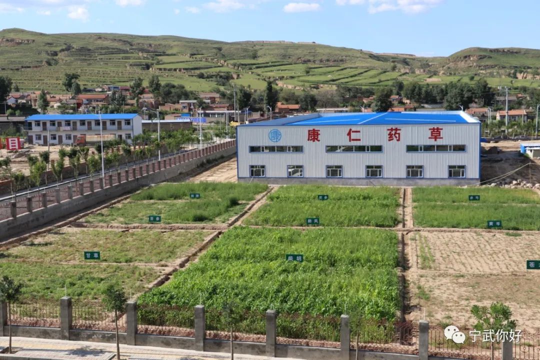 广场舞凤凰飞舞_广场舞凤凰飞分解动作_广场舞凤凰飞教学