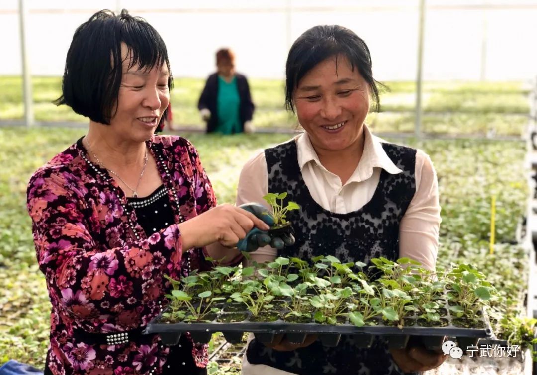 广场舞凤凰飞教学_广场舞凤凰飞舞_广场舞凤凰飞分解动作