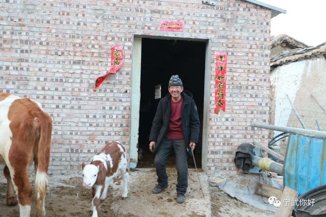 广场舞凤凰飞分解动作_广场舞凤凰飞教学_广场舞凤凰飞舞