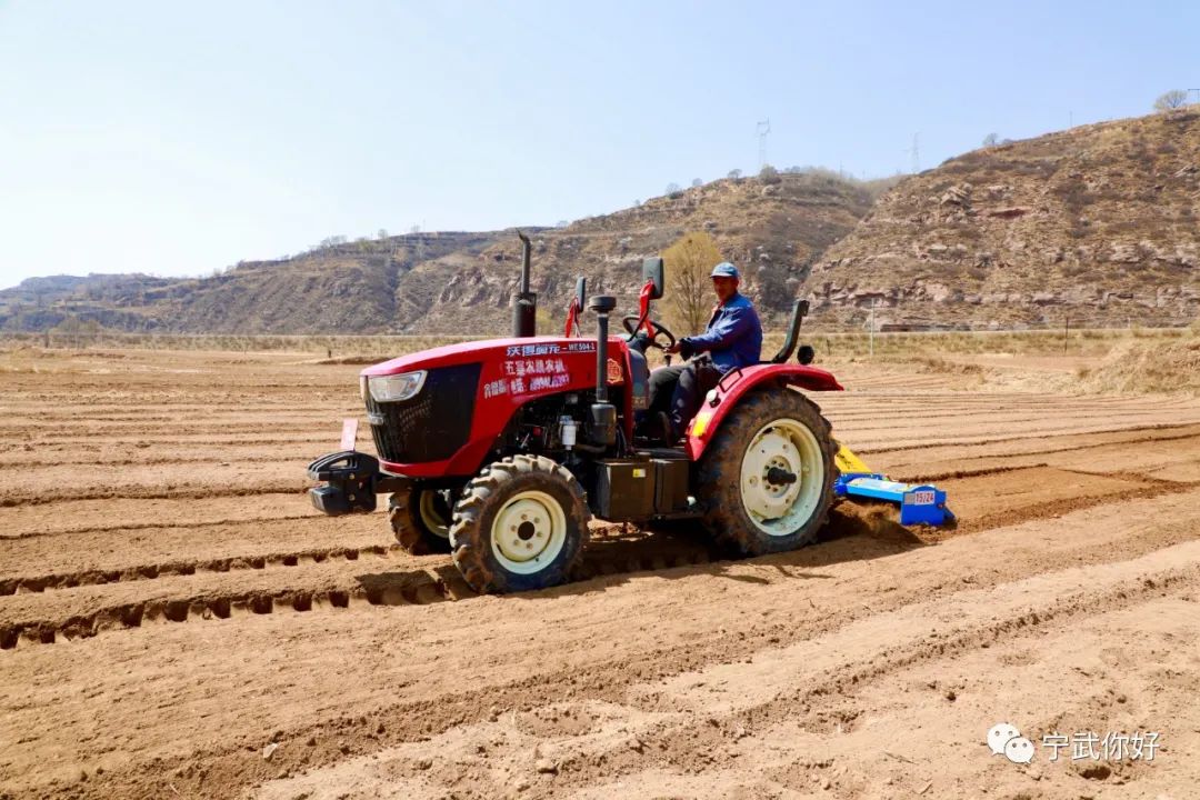 广场舞凤凰飞分解动作_广场舞凤凰飞教学_广场舞凤凰飞舞