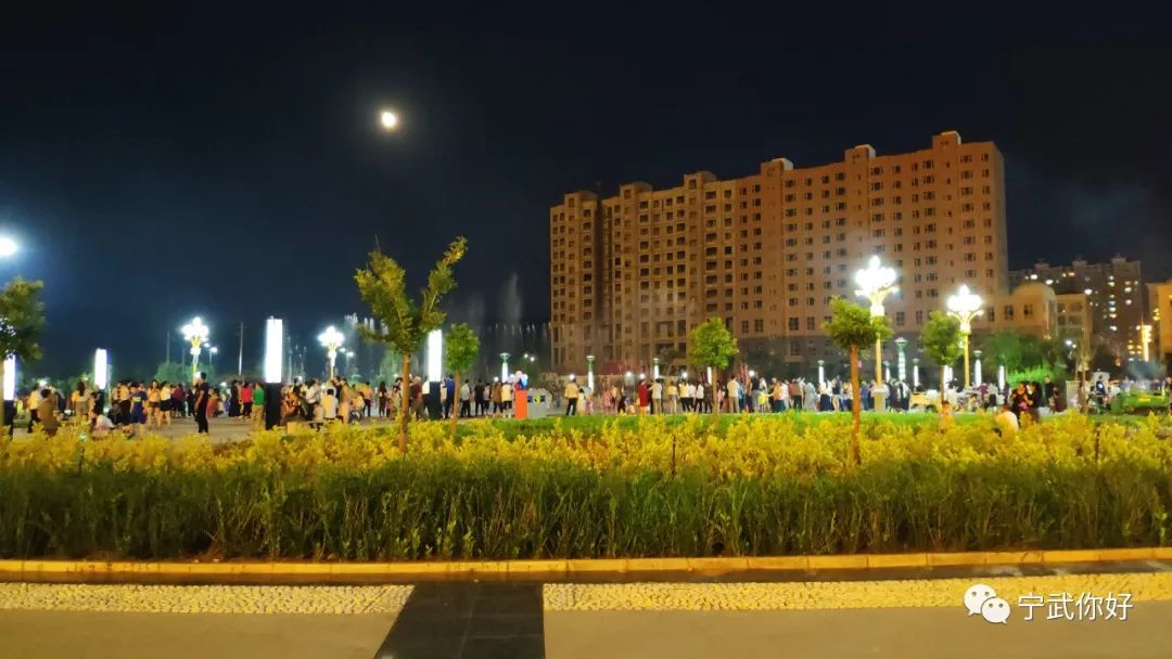 广场舞凤凰飞分解动作_广场舞凤凰飞舞_广场舞凤凰飞教学