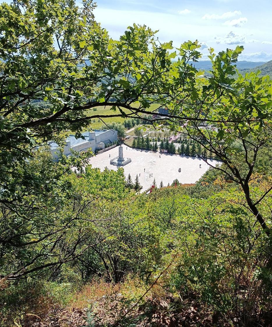 运动燃脂_健身和瑜伽选哪个_餐桌管控