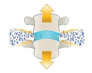 髋关节训练椅_博恩斯摇摆椅_腰椎稳定性训练