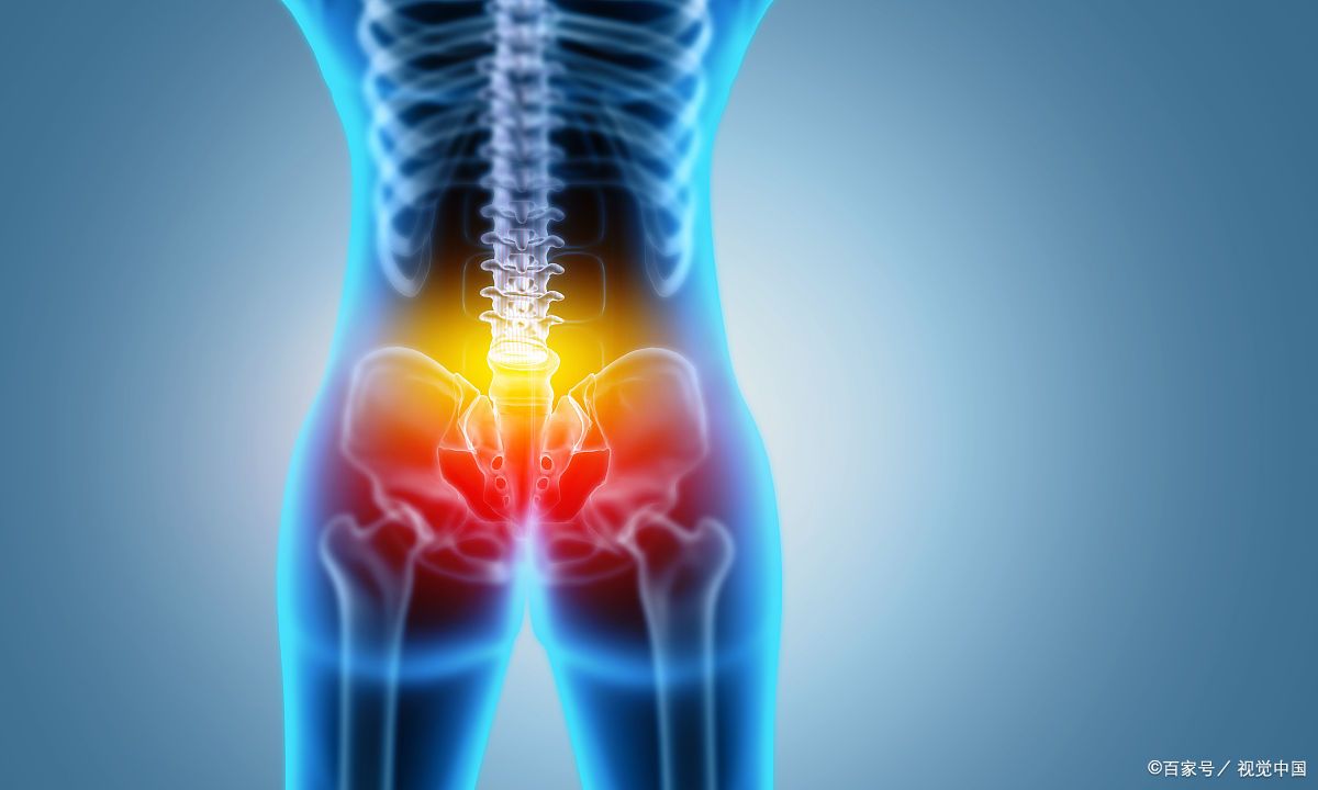 髋关节坐姿_髋关节训练器的适应症_髋关节训练椅