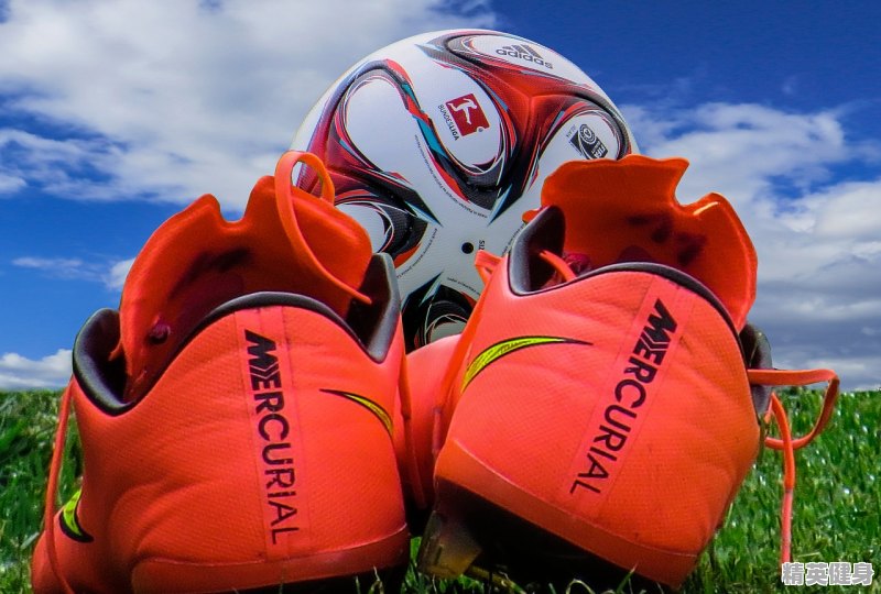 开yun体育app官方下载入口 家用跑步机什么牌子比较好_全球排名前十的跑步机品牌都有哪些