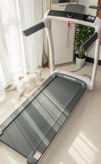 开yunapp体育官网入口下载手机版 跑步机什么牌子最好(跑步机选择与推荐？)