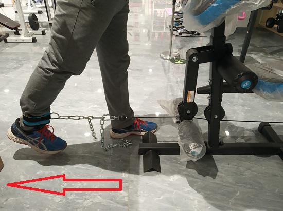 进行大腿后方肌肉力量训练