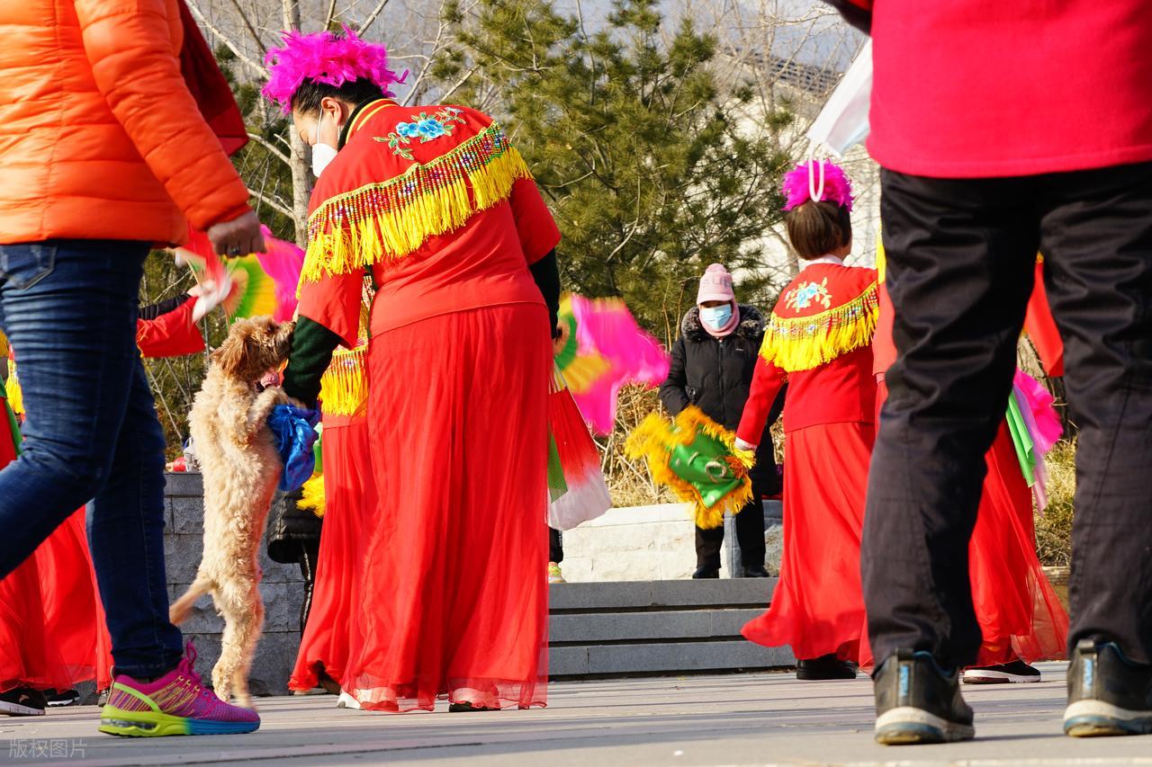 跳广场舞减肥效果分析_广场舞热量消耗与运动强度_广场瘦身舞