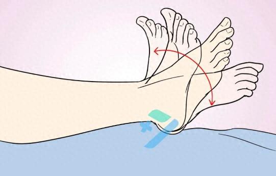 开yun体育app官方下载入口 【汤医科普】髋关节置换术后家庭锻炼指导