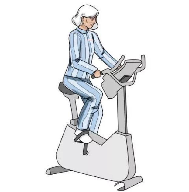 髋关节置换术后家庭康复训练_髋关节训练椅_髋关节置换术后锻炼方法