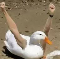 迪卡侬健身手套_迪卡侬品牌特色_迪卡侬口碑营销策略