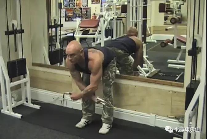 大飞鸟训练器_大飞鸟综合训练器_龙门架拉力训练器