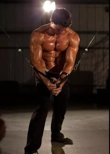 大飞鸟训练器_大飞鸟综合训练器_龙门架拉力训练器