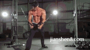 大飞鸟综合训练器_龙门架拉力训练器_大飞鸟训练器