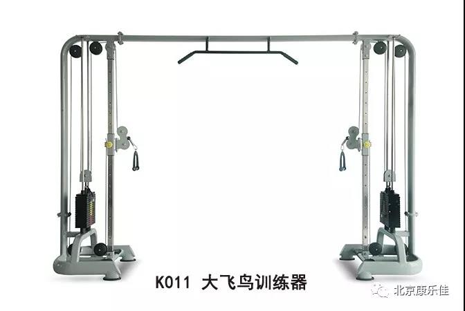 龙门架拉力训练器_大飞鸟训练器_大飞鸟综合训练器