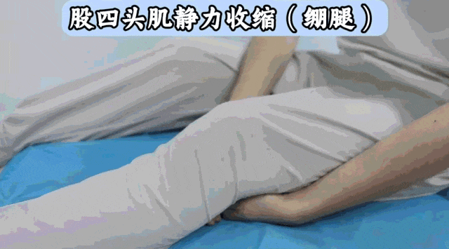 股四头肌锻炼_股四头肌训练椅_跑步膝盖疼痛